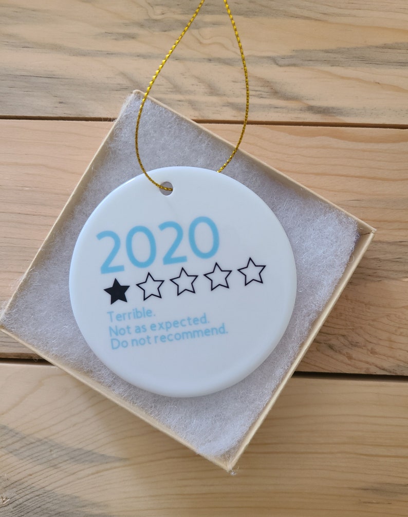 2020 Review Ornament, Ceramic Ornament, Year In Review Ornament, , Pandemic Ornament, It Was Terrible A Terrible Year, Funny Christmas Gift Sky Blue