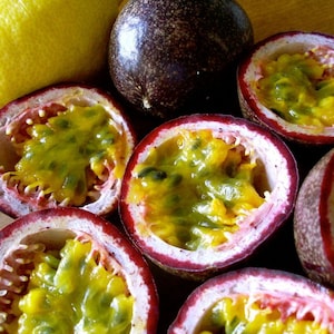 Purple Passion Fruit (Passiflora edulis) 10+ Seeds in Frozen Seed Capsules™ for Seed Saving or Planting Now 