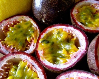 Purple Passion Fruit (Passiflora edulis) 10+ Seeds in Frozen Seed Capsules™ for Seed Saving or Planting Now 