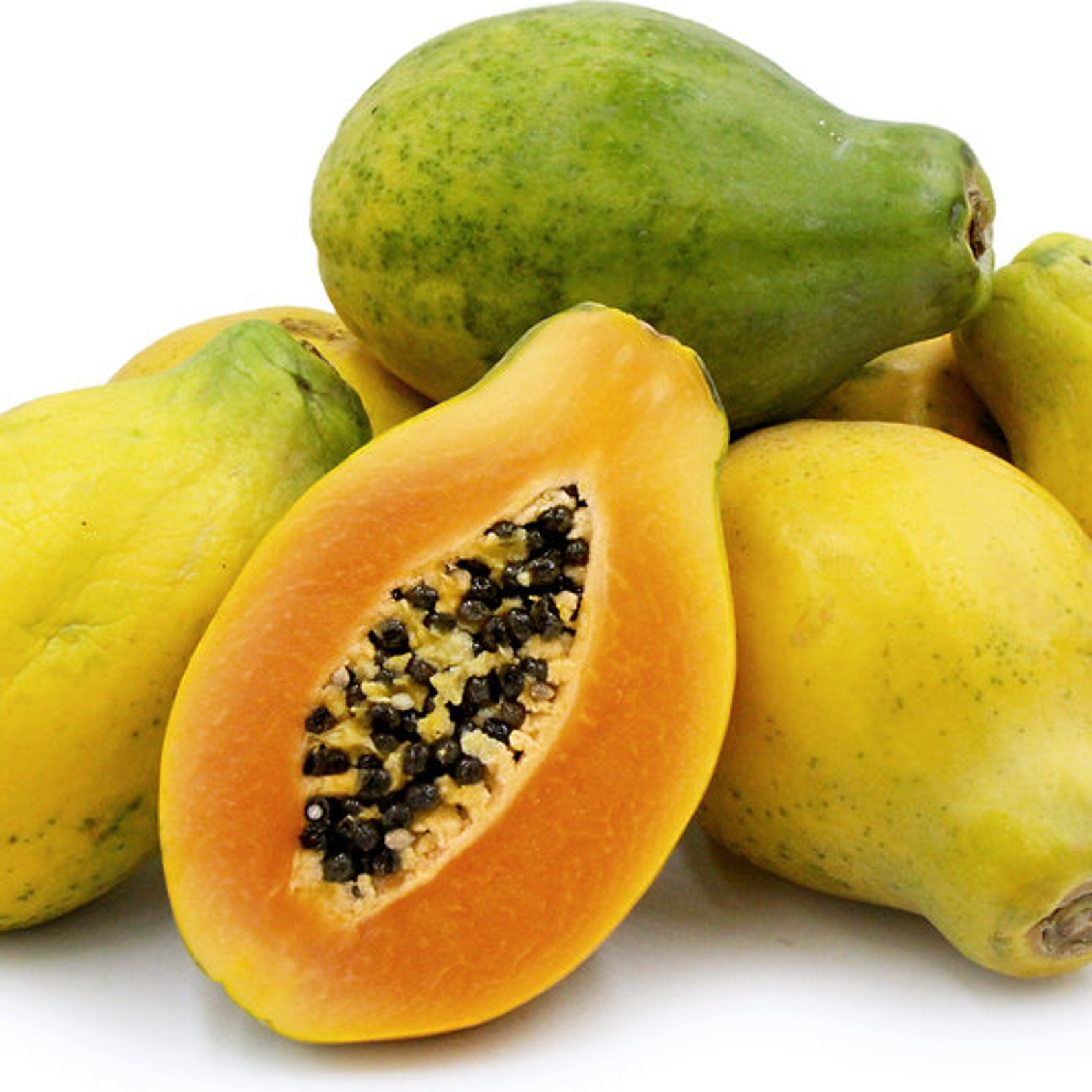 Sunrise Solo Hawaiian Papaya Seeds carica Papaya Packet of 5 Seeds Palm
