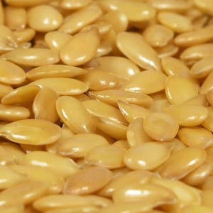 Golden Flax Seeds (Linum usitatissimum) Packet of 30 Seeds - Palm Beach Seed Company 