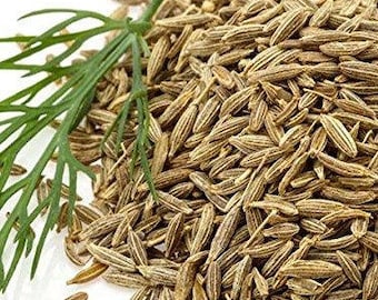 Cumin Seeds (Cuminum cyminum) 40+ Seeds in Frozen Seed Capsules™ for Seed Saving or Planting Now