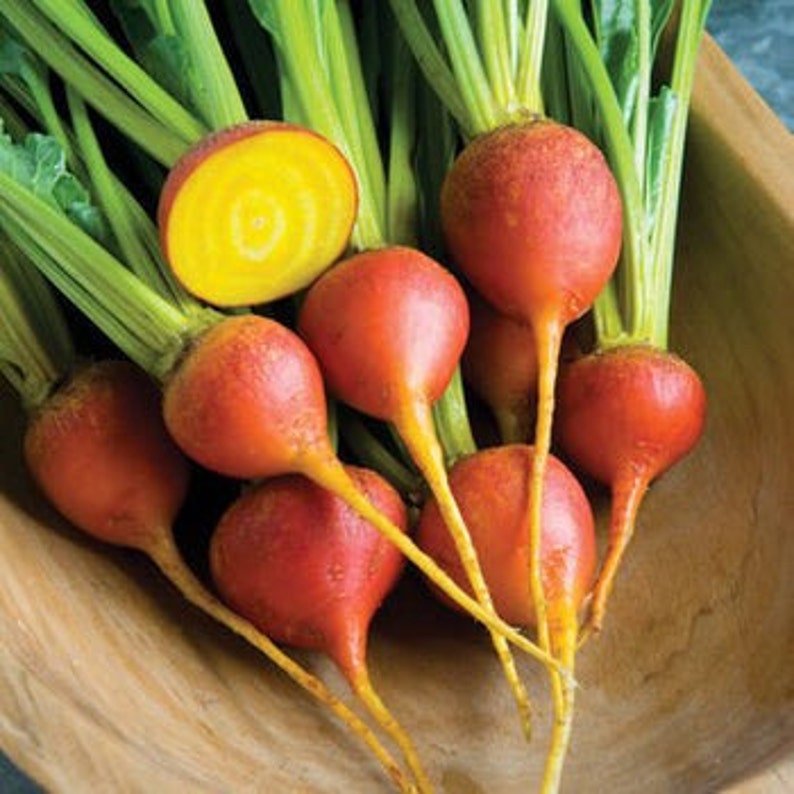 Palm Beach Seed Company Touchstone Gold Beet Seeds