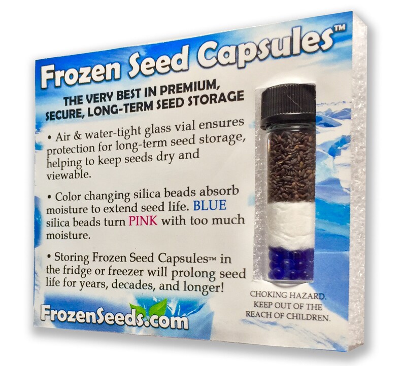 30 Seeds in Frozen Seed Capsules\u2122 for Seed Saving or Planting Now Ocimum basilicum Emily Basil Seeds