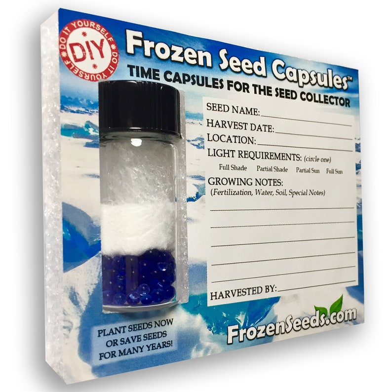 Frozen Seed Capsules™ 'doityourself' DIY Medium Seed Etsy