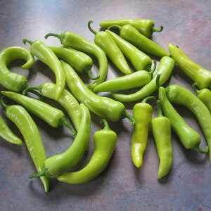 Sweet Banana Pepper Seeds - Packet of 10 Seeds - Palm Beach Seed Company 