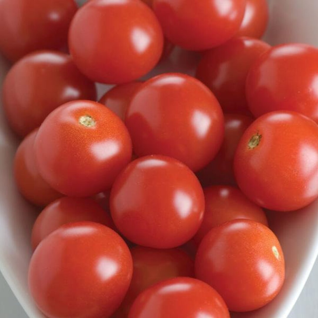 BHN-968 Cherry Tomato Seeds (solanum Lycopersicum) Packet of 5