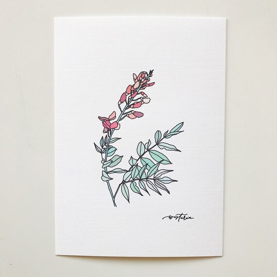 Wisteria Floral Illustration | Etsy