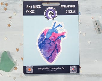 Anatomischer Herz-Rosa-Lila-blauer wasserdichter Aufkleber für Wasserflasche, Laptop Aufkleber