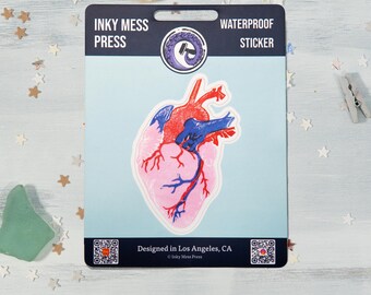 Anatomischer Herz wasserdichter Aufkleber für Wasserflasche, Laptop Aufkleber