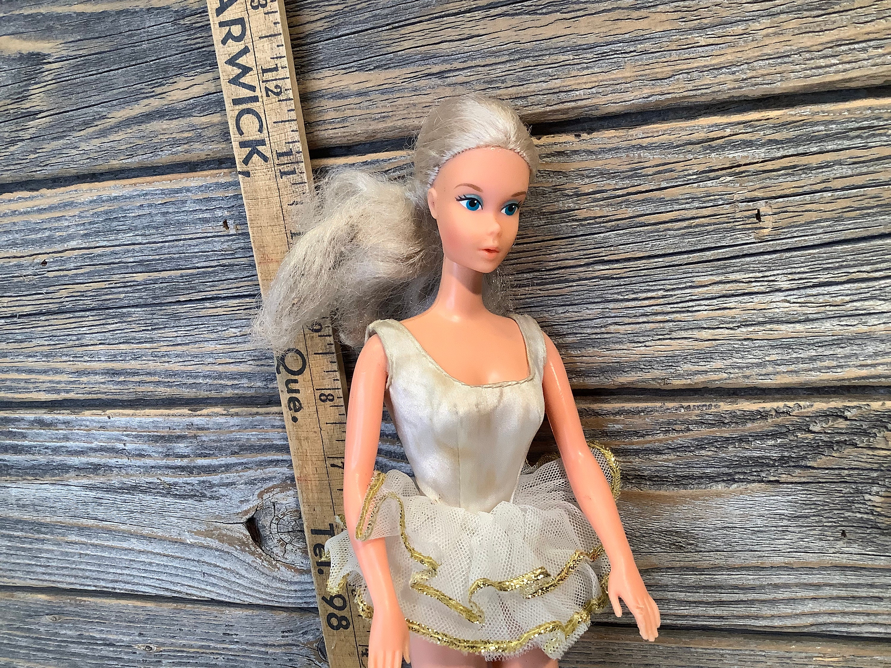 druiven Illustreren Bladeren verzamelen Vintage Mattel Ballerina Barbie 1975 - Etsy