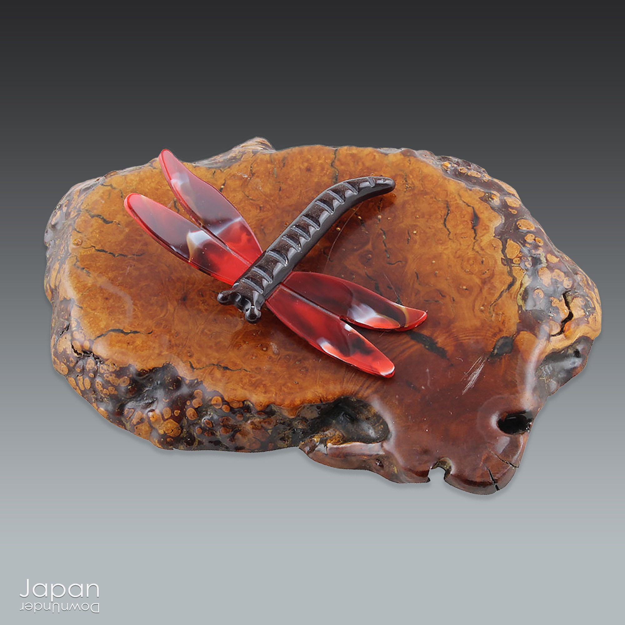 Dragonfly Brooch, Japanese Brooch, Jacket Brooch, Resin