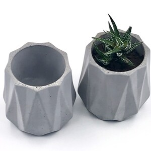 Concrete Planter Plant Pot Utensilo Mug Pot image 5