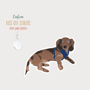 Custom Pet Sticker, Personalized Gift, Custom Dog Sticker, Custom Cat Sticker, Water Bottle Sticker, Pet Decal, Pet Portrait