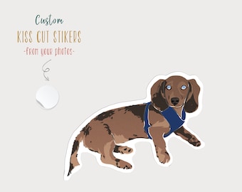 Custom Pet Sticker, Personalized Gift, Custom Dog Sticker, Custom Cat Sticker, Water Bottle Sticker, Pet Decal, Pet Portrait