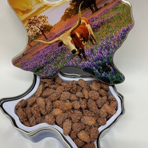 Texas Longhorn Gift Tin with Cinnamon Roasted Nuts