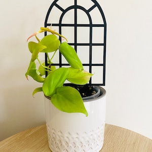 WINNIE | regular window trellis for indoor plants | climbing plant support | 3D printed
