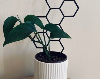 HECTOR | regular hexagon trellis for indoor plants | climbing plant support | 3D printed