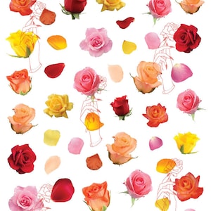 Roses 002 |Nail Decals|