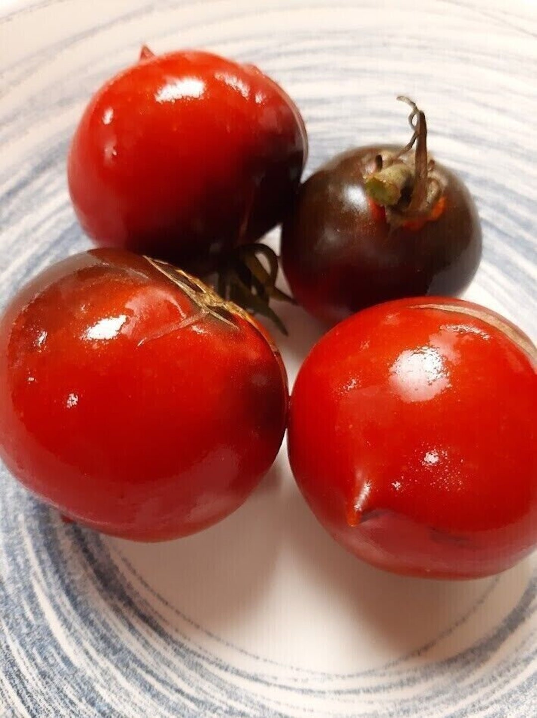 Salsa di pomodoro con macinato: guida professionale Salsa di pomodoro con macinato: guida professionale