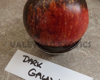 Dark Galaxy Tomato - 5+ seeds - P 017