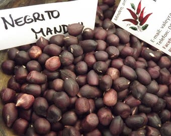 Negrito Manduvi Arachide, Arachis hypogaea, 5 graines (H 045)