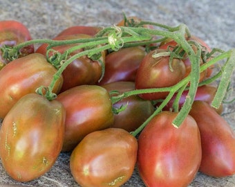 Black Emperor Tomato - 5+ seeds - P 407