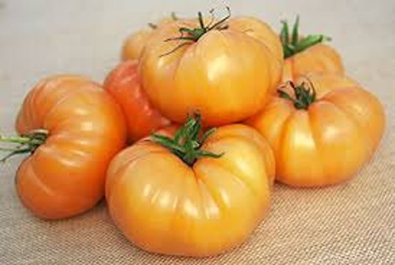Kellogg's Breakfast Tomato 5 Seeds P 140 - Etsy Canada