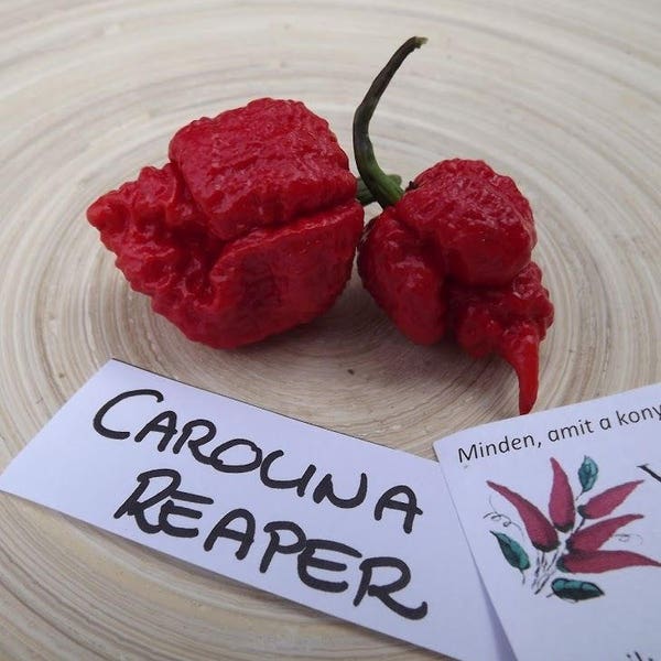 Carolina Reaper Chili Pepper, 10 Samen (Ch 001)