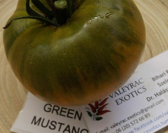 Green Mustang Tomato - 10+ seeds - GREEN HEIRLOOM! P 333