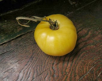 Yazon Tomato 5 seeds P 300