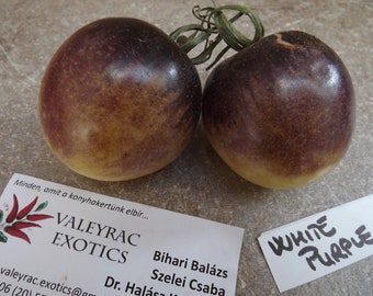 White Purple Tomato - 5+ Seeds - P 031
