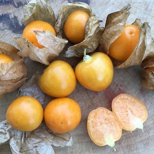 Può includere: Un gruppo di physalis, anche conosciute come cocomeri del Perù, di colore giallo dorato, sono disposte su una superficie di legno. Alcune delle bacche sono ancora nelle loro bucce di carta, mentre altre sono libere.