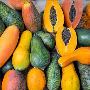 Könnte beinhalten: Eine lebendige Auswahl an frischen Papayas und anderen tropischen Früchten. Das Bild zeigt eine Vielzahl von Formen und Farben, darunter leuchtendes Orange, Gelb und Grün. Einige Früchte sind halbiert und zeigen ihre dunklen Samen und ihr saftiges Fruchtfleisch.