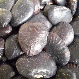 May include: A close-up shot of a collection of dark, oval seeds. The seeds have a shiny, black surface with a slightly textured appearance. Some seeds show a lighter colour where they are split. The seeds are clustered together.
