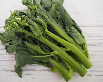 Chinese broccoli Kailan Dara - 50 zaden - B 121