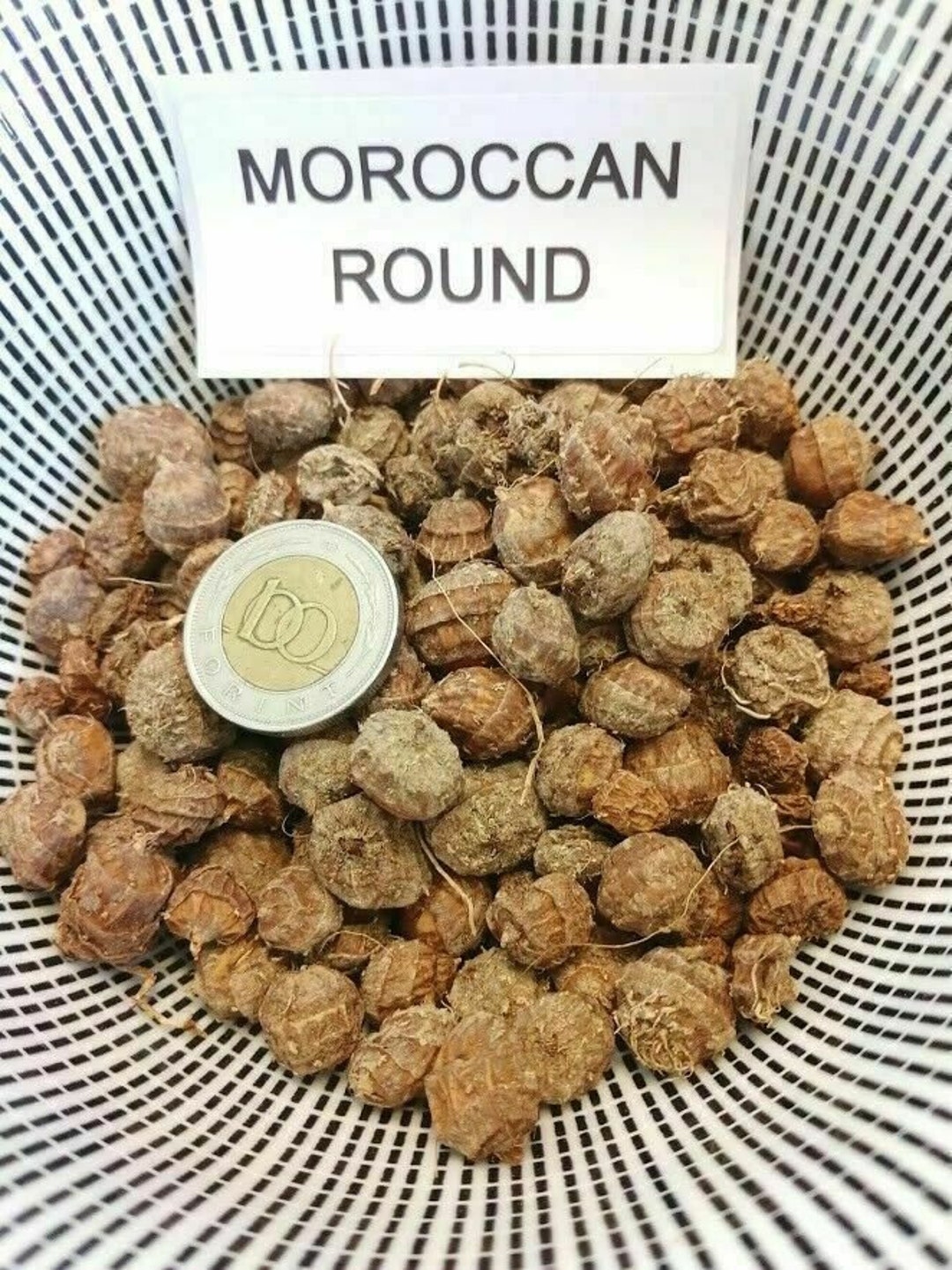 Erdn Marokkanische Runde Tigernut Erdn mandel Chufa 10 Knollen T 024 - Etsy ...
