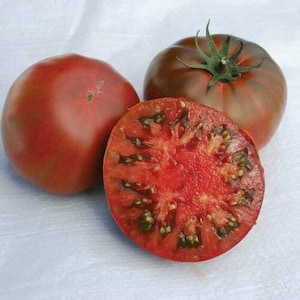 Brown Sugar Tomato from Russia - 5+ seeds - P 036