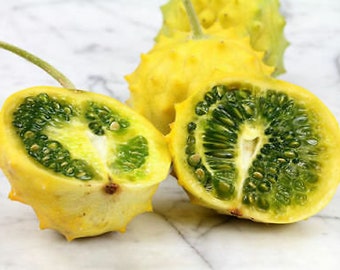 Round Horn Cucumber - Kiwano - Cucumis metuliferus - 5+ seeds - Cu 011