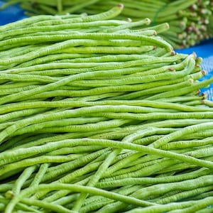 Può includere: Primo piano di un mucchio di fagiolini verdi freschi e vibranti. I fagiolini sono fittamente raggruppati, mostrando la loro forma sottile e allungata e la superficie strutturata. L'immagine evidenzia l'aspetto naturale e sano delle verdure.