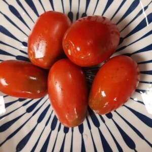Tomate Wild Card Blues - Tomate - 10+ semillas - Granos - Samen - P 009
