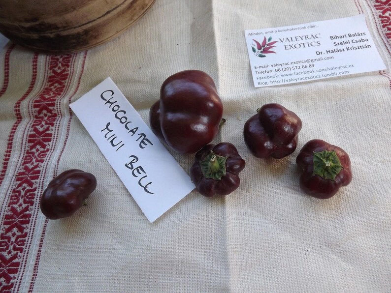 10 seeds Chocolate Mini Bell Sweet Pepper
