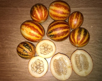 Reiche Süße 132 Melone 5 Samen - Cm 044