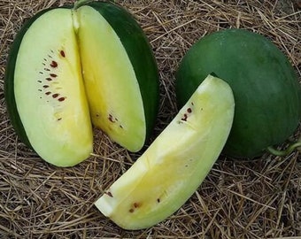 Makataan Watermelon d’Afrique du Sud - 5+ graines - Cl 011