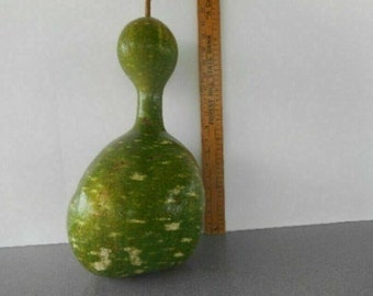 Calabash Indonesische Flasche - 5+ Samen - C 060