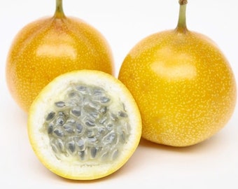 Sweet Grenadilla - Passiflora ligularis - 5+ seeds Gx 001