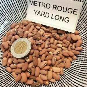 Può includere: Primo piano di una ciotola di fagioli rossi, noti anche come fagioli lunghi. I fagioli sono di colore marrone rossiccio chiaro e sono disposti in un mucchio. L'etichetta "METRO ROUGE YARD LONG" è visibile sullo sfondo.
