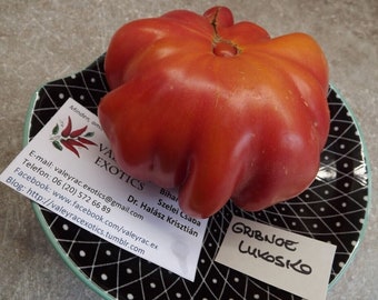 Pilzkorb Tomate - Russisches Erbstück - 5+ Samen - Körner - Samen - P 215