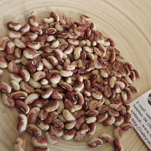 Può includere: Un mucchio di fagioli secchi con un mix di colori beige e marrone. I fagioli sono sparsi su una superficie di legno marrone chiaro. Una piccola carta bianca con testo è visibile in basso a destra.