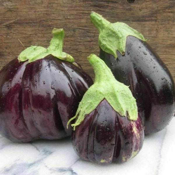 Black Beauty Aubergine - Aubergine - 5+ Samen - So 013